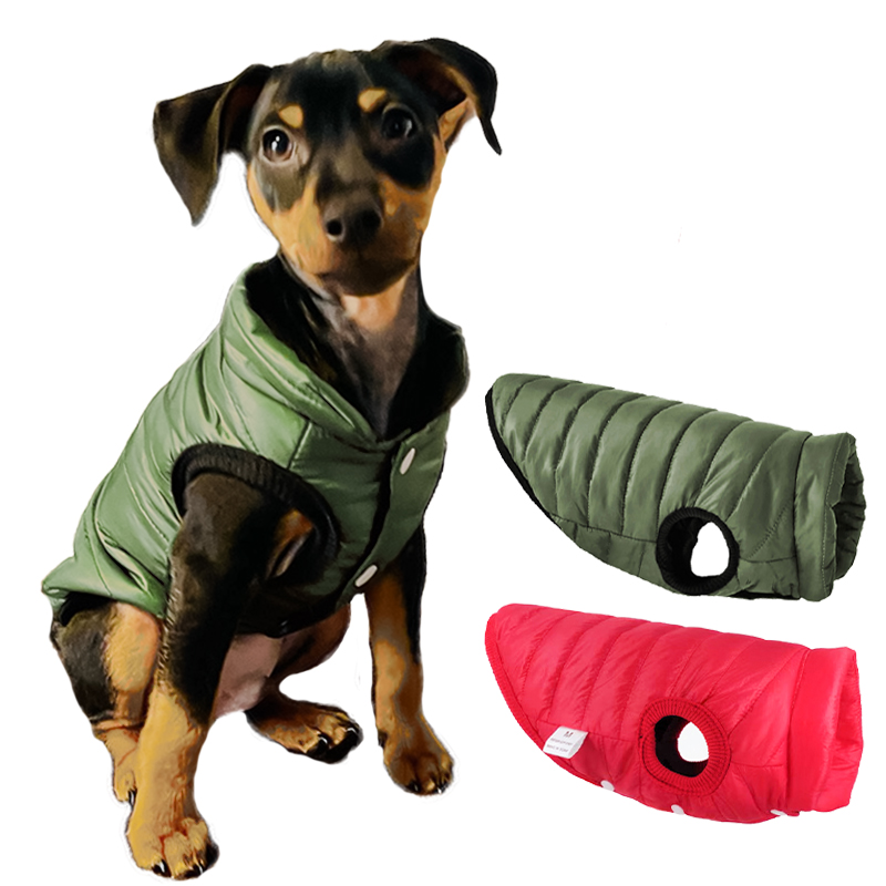 Warme hondenvestjas herfst win - Winter Clothing In French recensie en prijs