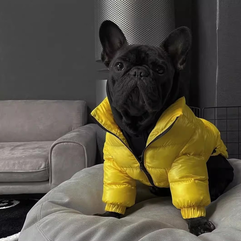 Mopshondjasje Franse Bulldog K - Winter Clothing In French recensie en prijs