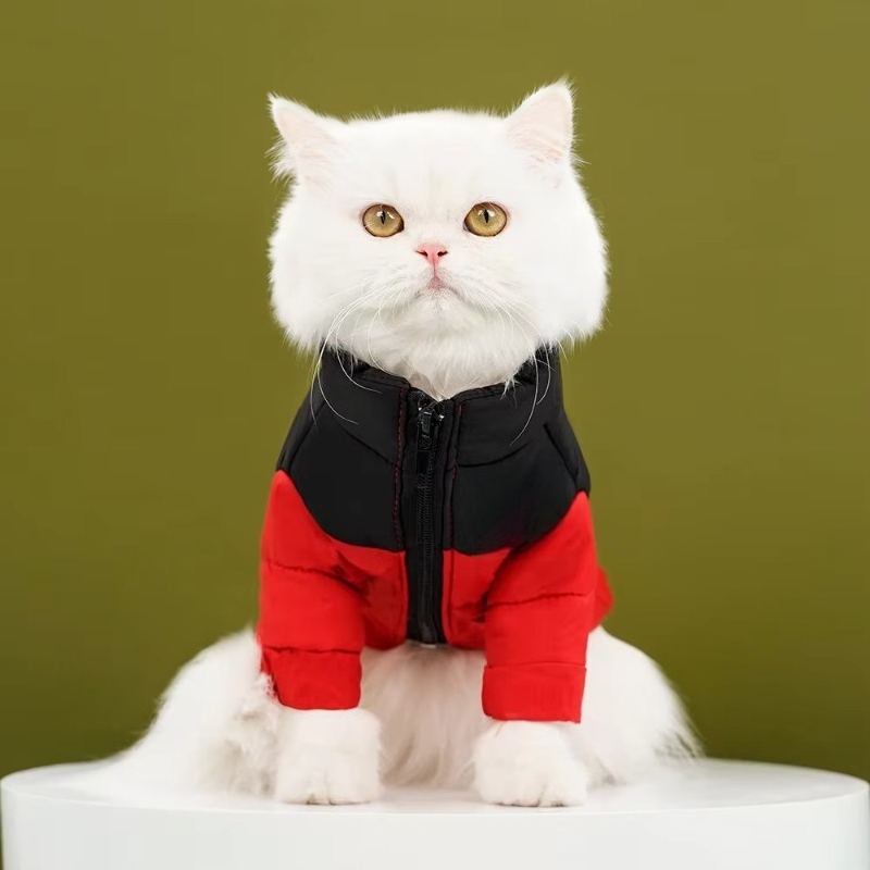 Herfst en winter luxe warme ho - Winter Clothing Manufacturers recensie en prijs