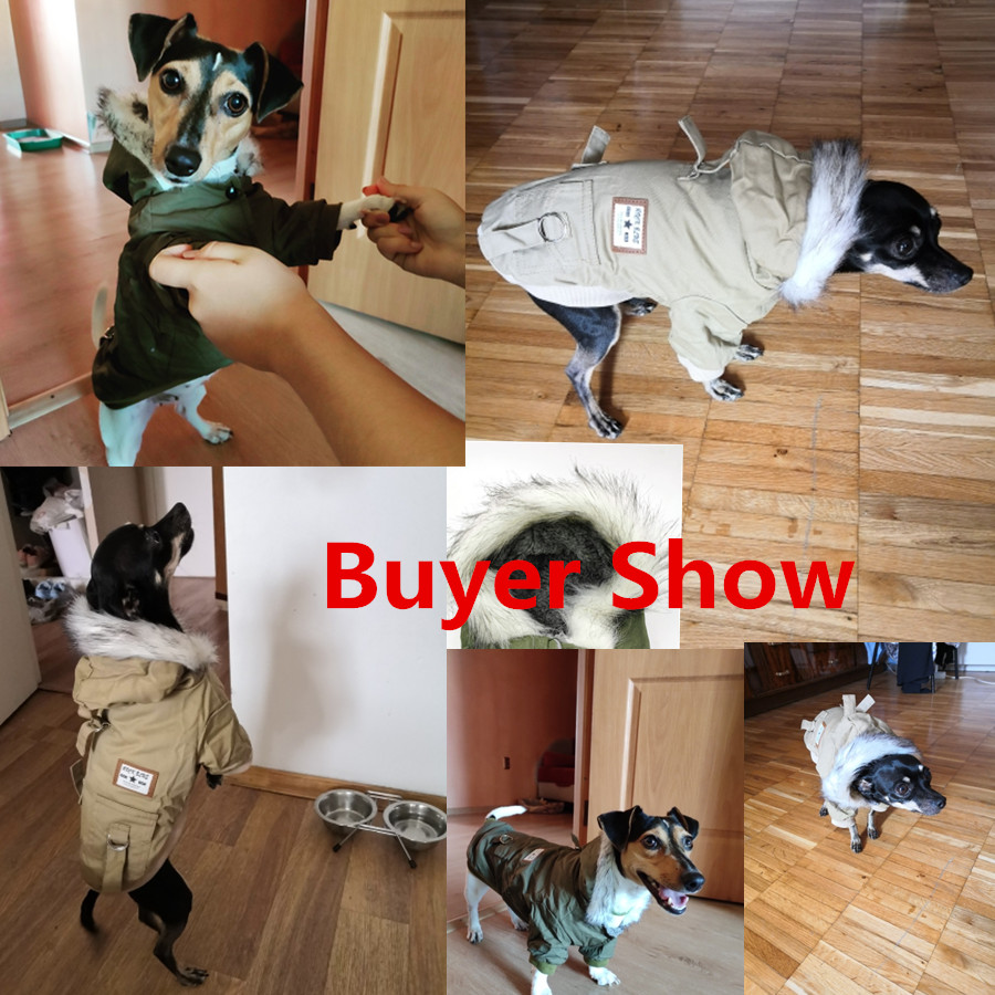 Hondenkleding voor kleine hond - Winter Clothing In French recensie en prijs