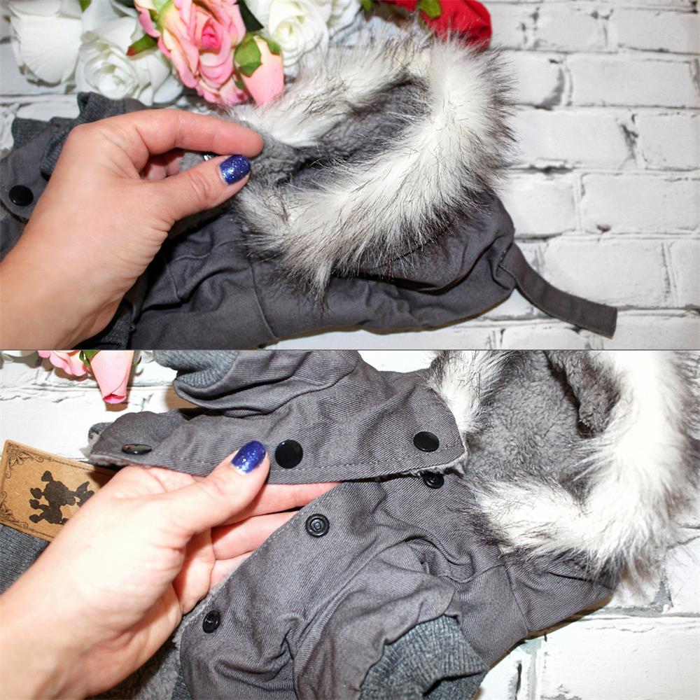 Hondenkleding voor kleine hond - Winter Clothing In French recensie en prijs