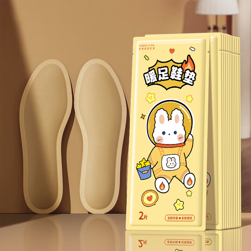 Eenmalige voetwarmer Verwarmde - Heated Insole Rechargeable recensie en prijs