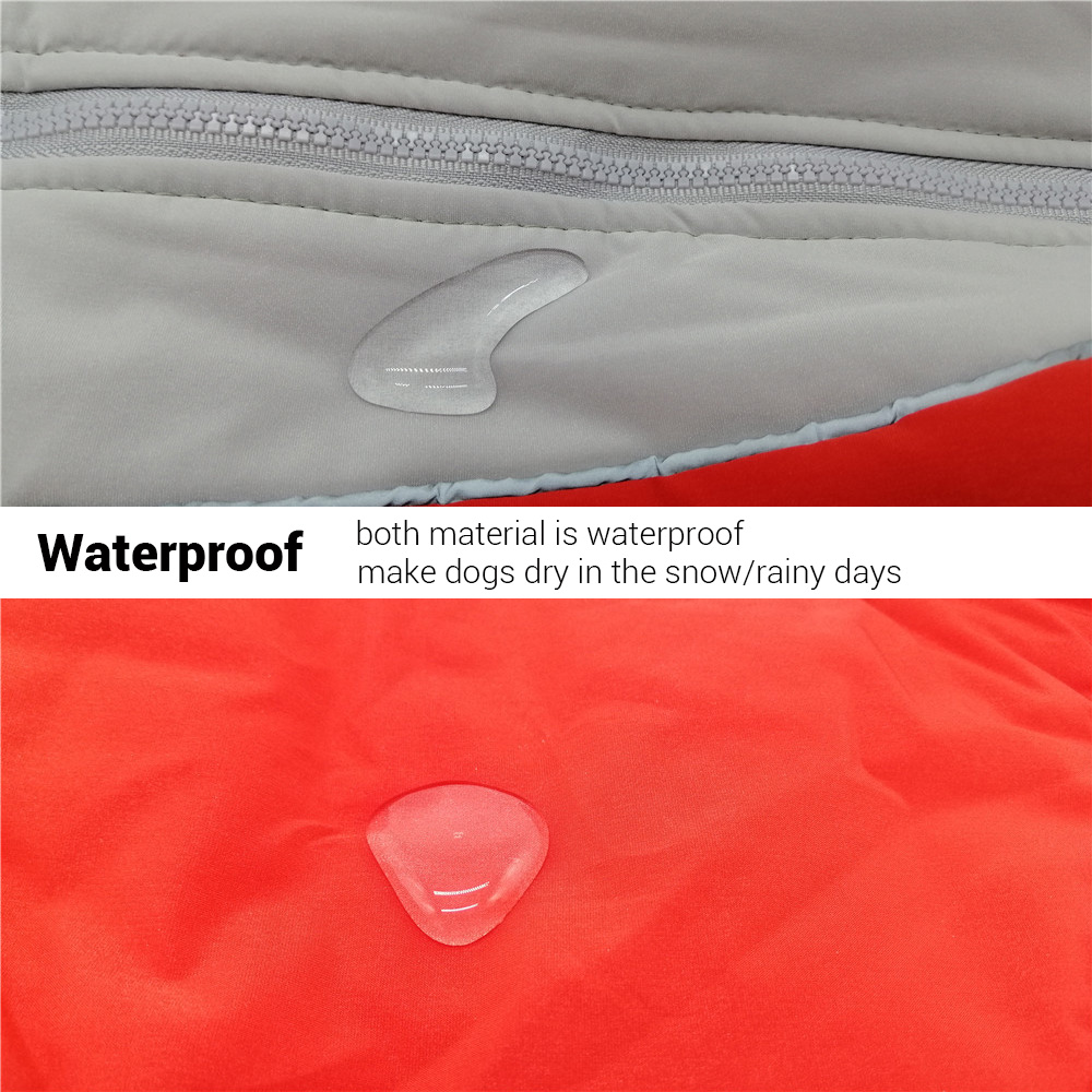 Winter Hondenkleding Super War - Winter Clothing In French recensie en prijs